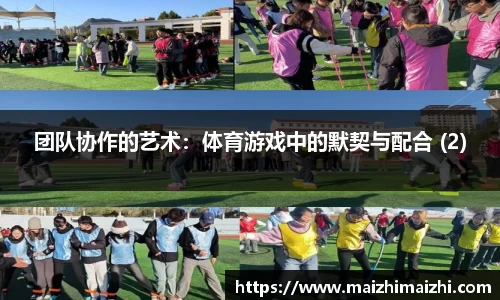 团队协作的艺术：体育游戏中的默契与配合 (2)